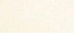 SR1209-10-815 - SUPER RIBBON PLAIN ORGANZA 10mm 815 CREAM