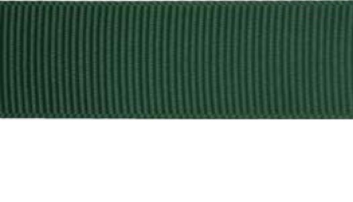 SR1402-25-587 - SUPER RIBBON GROSGRAIN 25mm 587 FOREST GREEN
