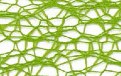 SR1501-50-04 - SUPER RIBBON MESH 50mm 04 GREEN