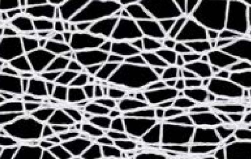 SR1501-50-07 - SUPER RIBBON MESH 50mm 07 WHITE