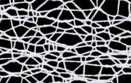 SR1501-50-07 - SUPER RIBBON MESH 50mm 07 WHITE