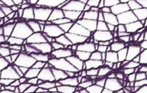 SR1501-50-11 - SUPER RIBBON MESH 50mm 11 PURPLE