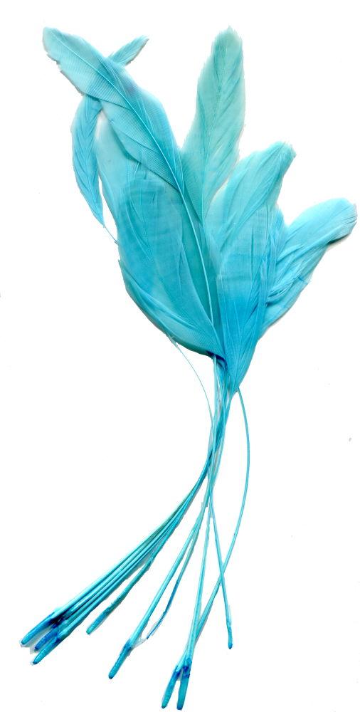 ST19K - FEATHER BUNCHES 10 PACK KINGFISHER SC24