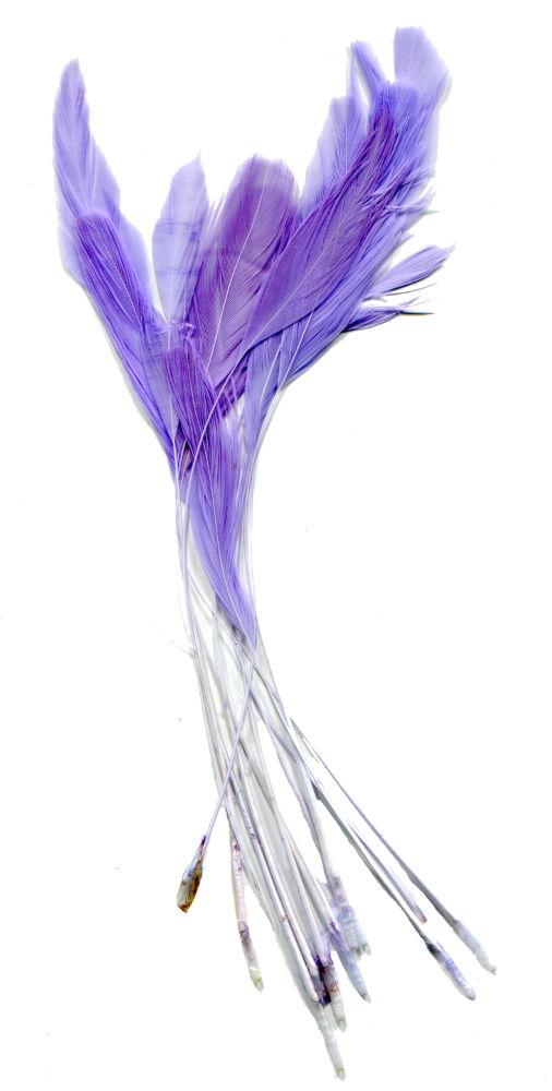 ST19L - FEATHER BUNCHES - 10/PACK LILAC