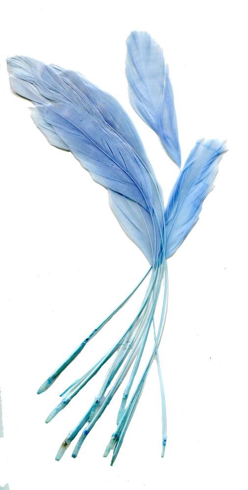 ST19PB - FEATHER BUNCHES - 10/PACK PALE BLUE SC201