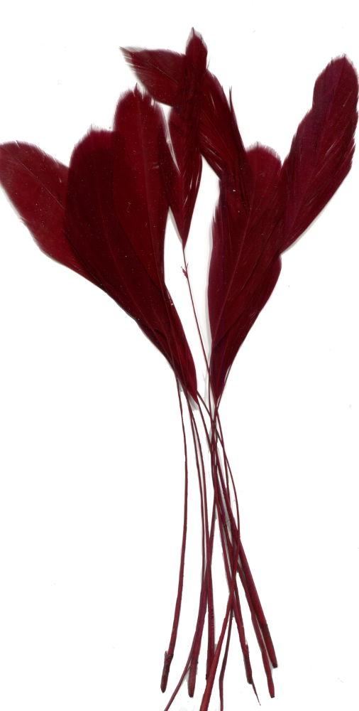 ST19WI - FEATHER BUNCHES - 10/PACK WINE