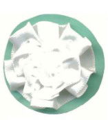 SW029 - SWIRL ROSES 029 WHITE
