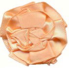 SW720 - SWIRL ROSES 720 DK PEACH