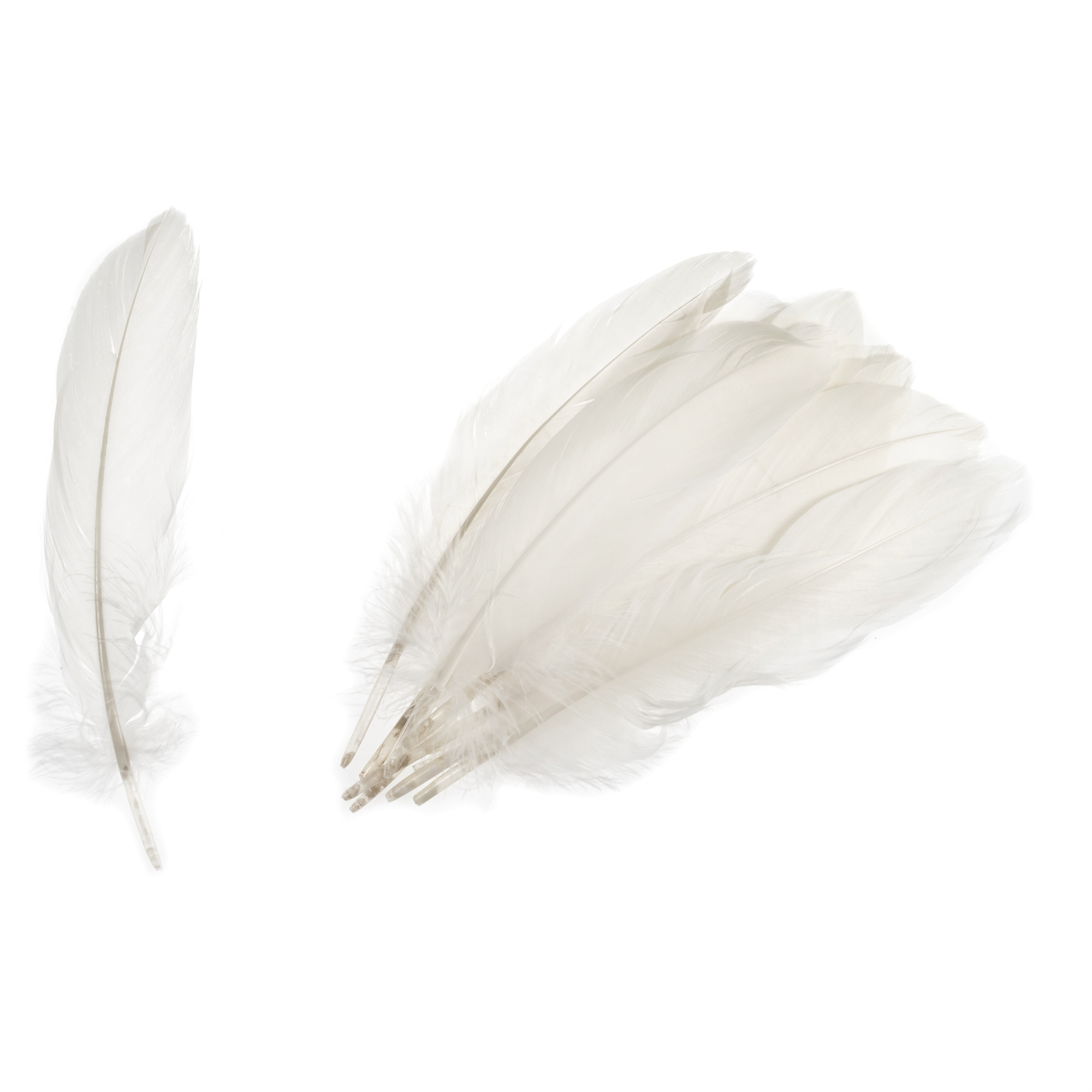 TD0013 - GOOSE FEATHERS APPROX 19CM WHITE