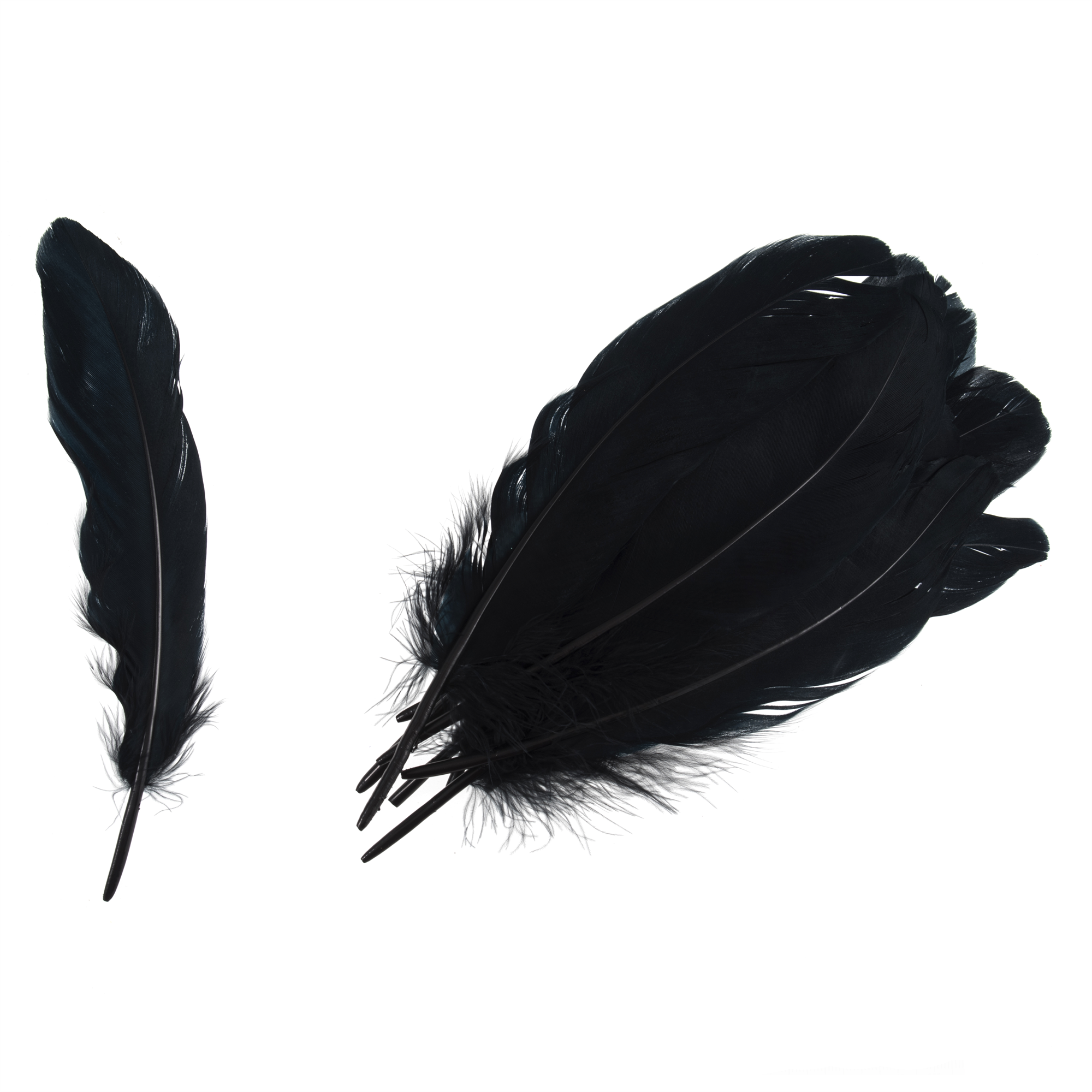 TD0014 - GOOSE FEATHERS APPROX 19CM BLACK