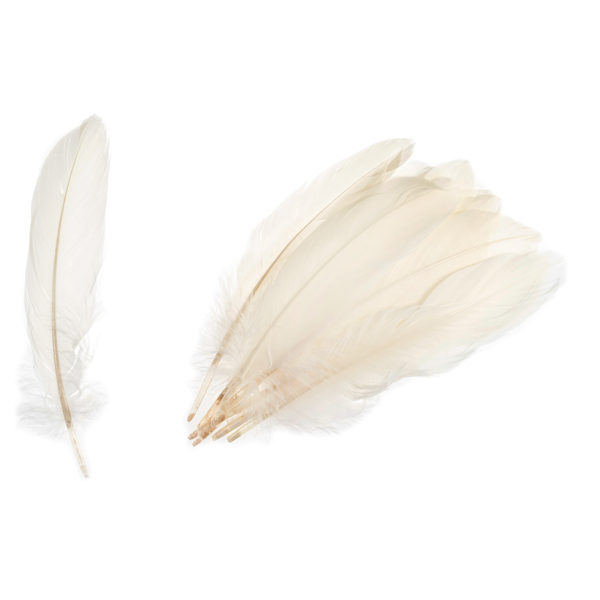 TD0015 - GOOSE FEATHERS APPROX 19CM CREAM
