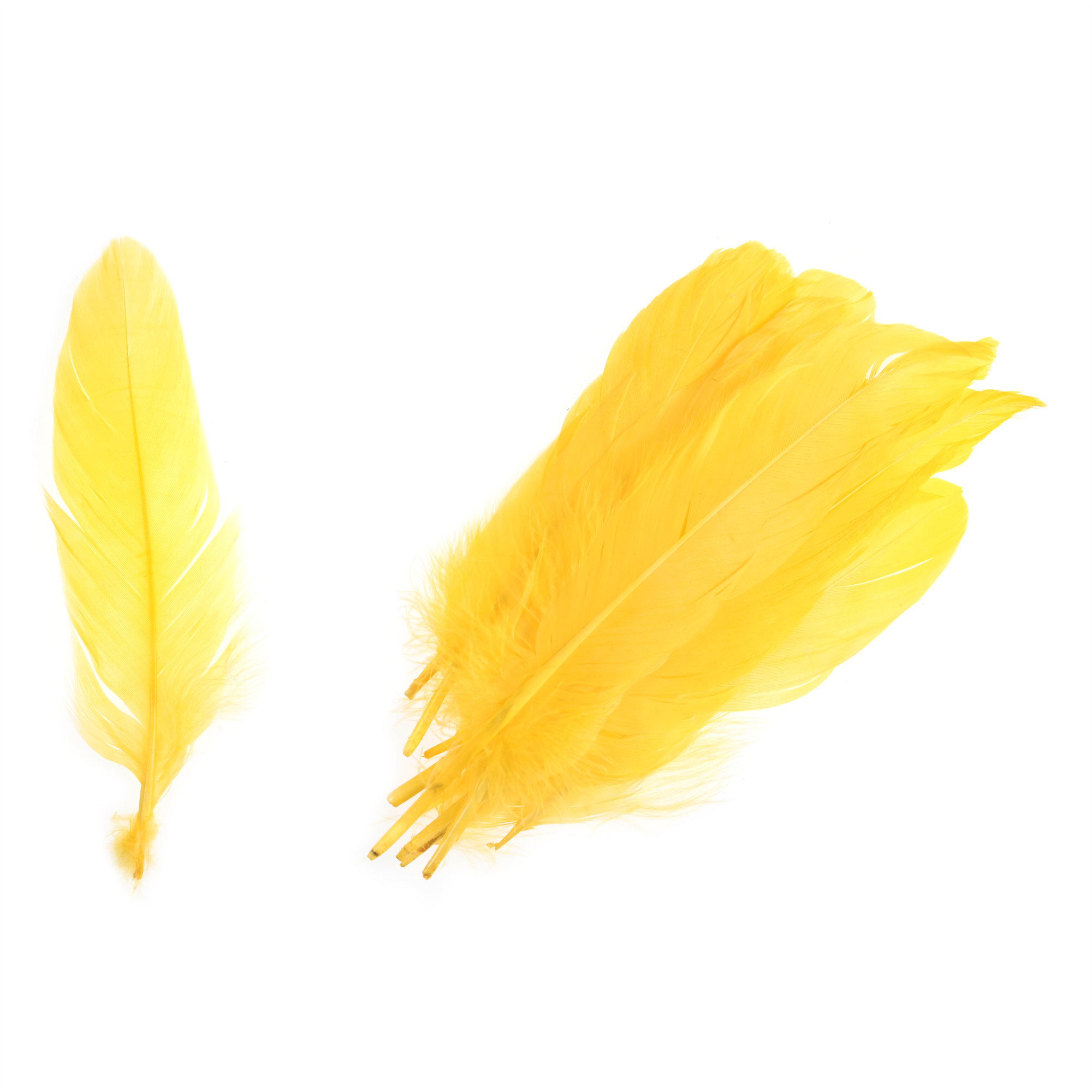 TD0016 - GOOSE FEATHERS APPROX 19CM YELLOW