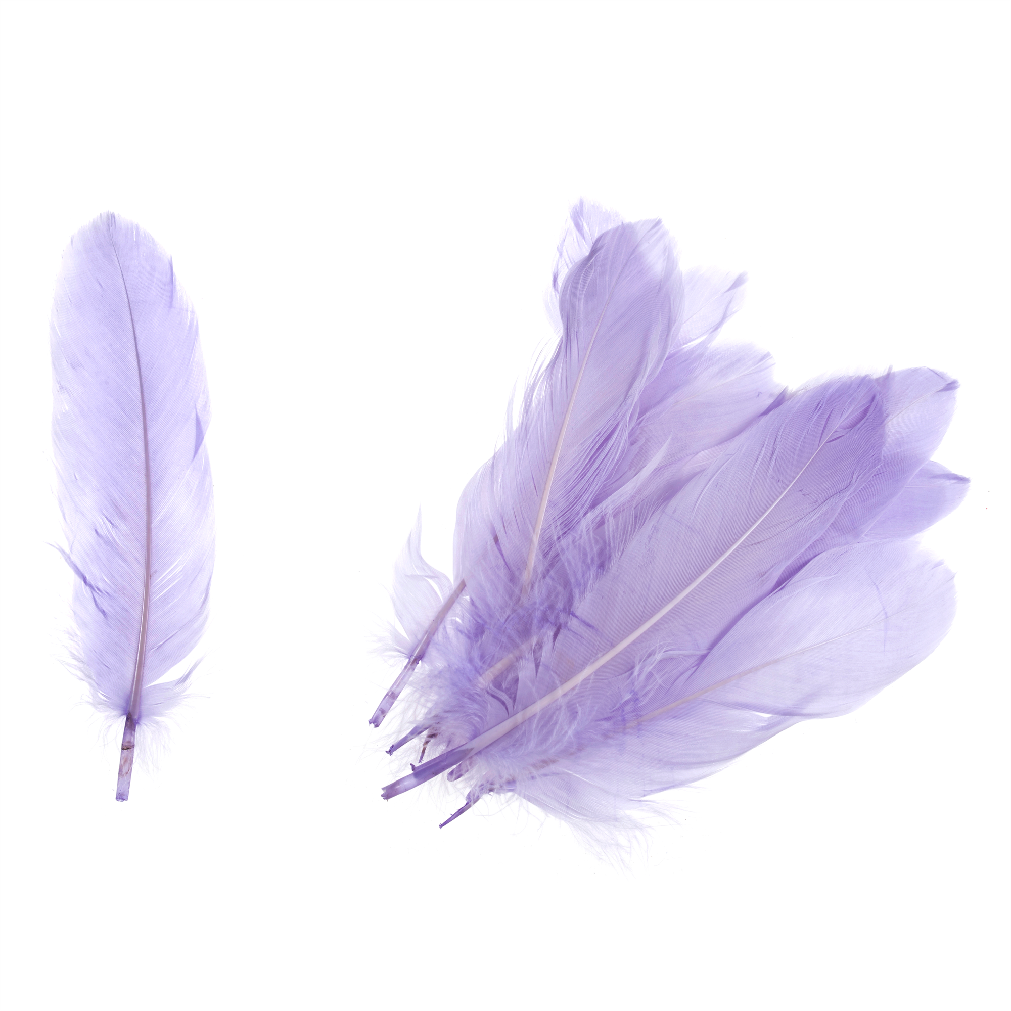 TD0017 - GOOSE FEATHERS APPROX 19CM LILAC