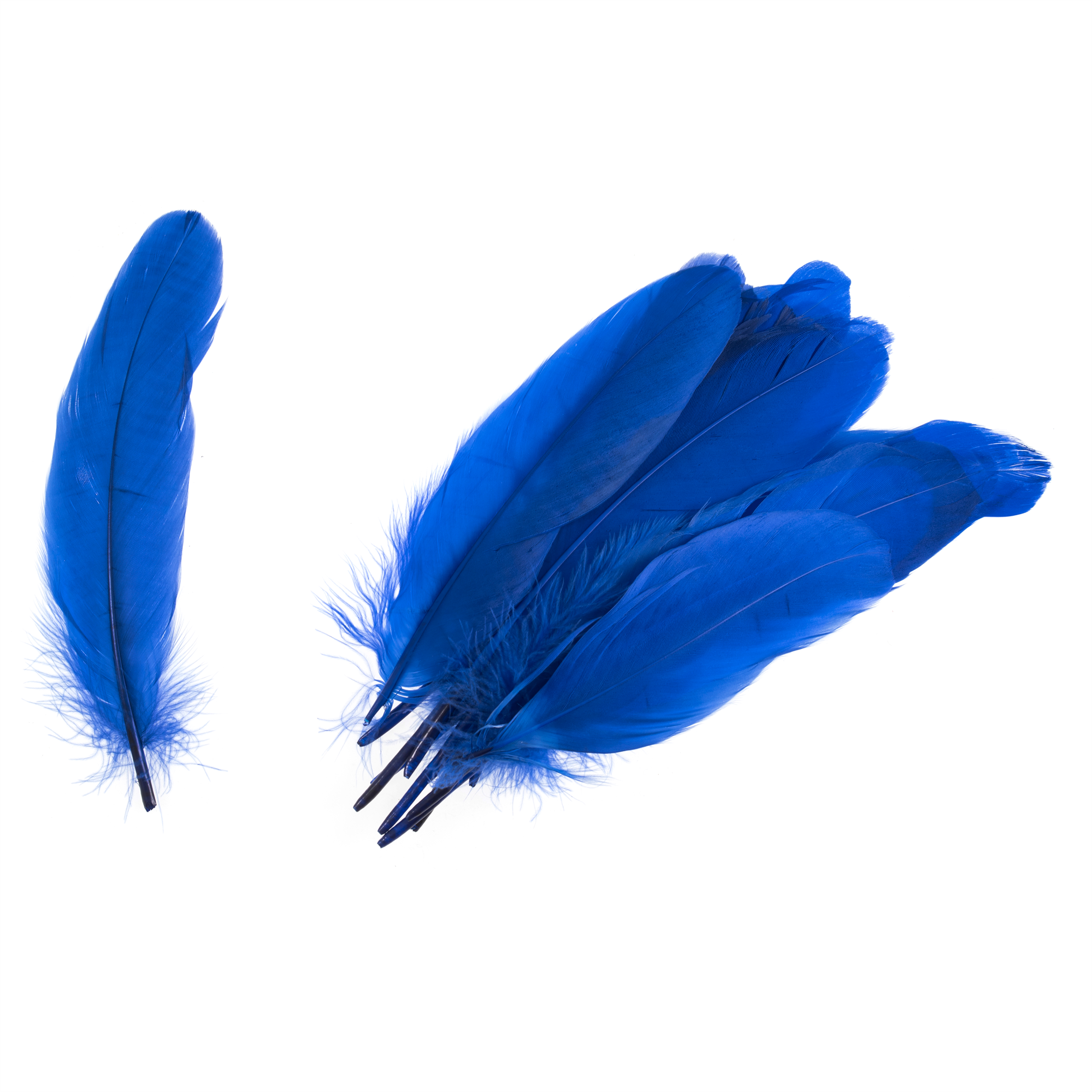 TD0018 - GOOSE FEATHERS APPROX 19CM ROYAL