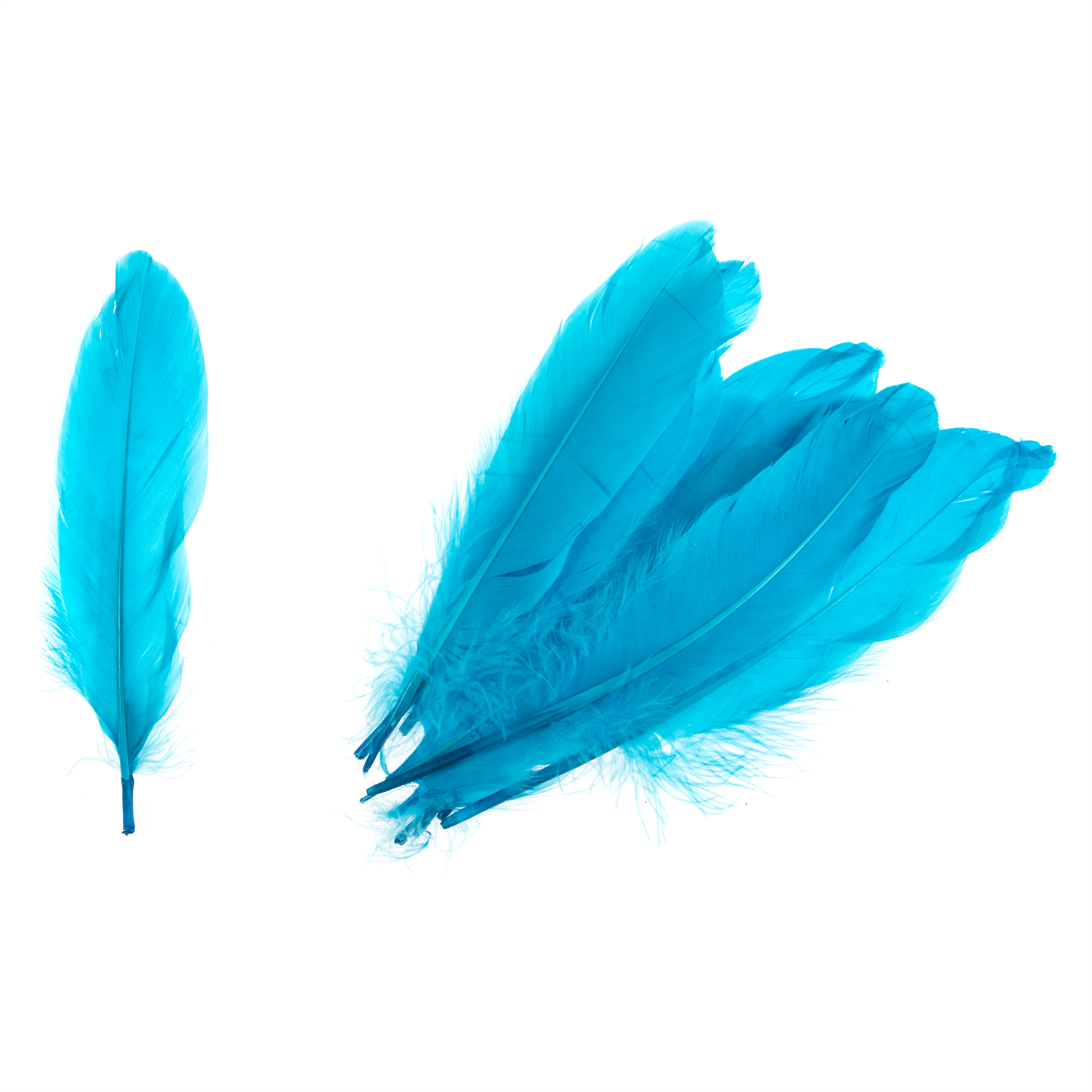 TD0019 - GOOSE FEATHERS APPROX 19CM TURQUOISE