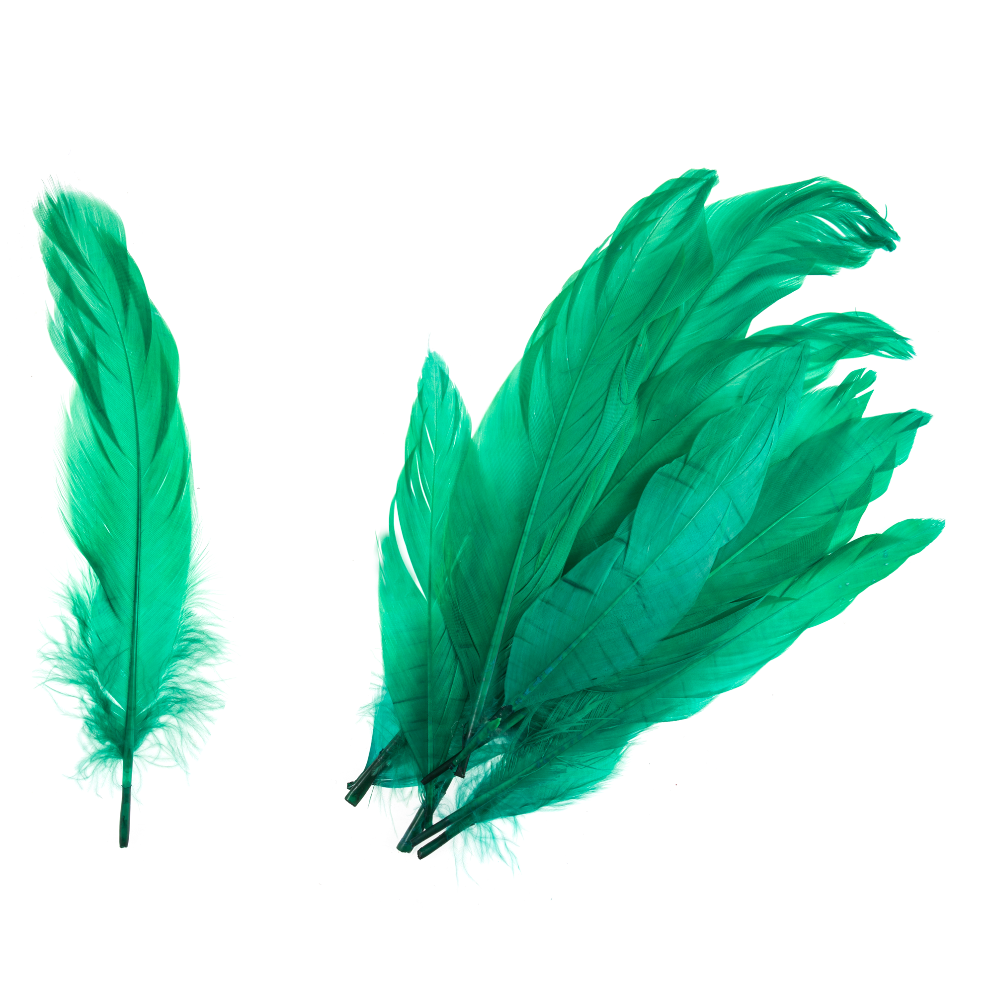 TD0020 - GOOSE FEATHERS APPROX 19CM GREEN