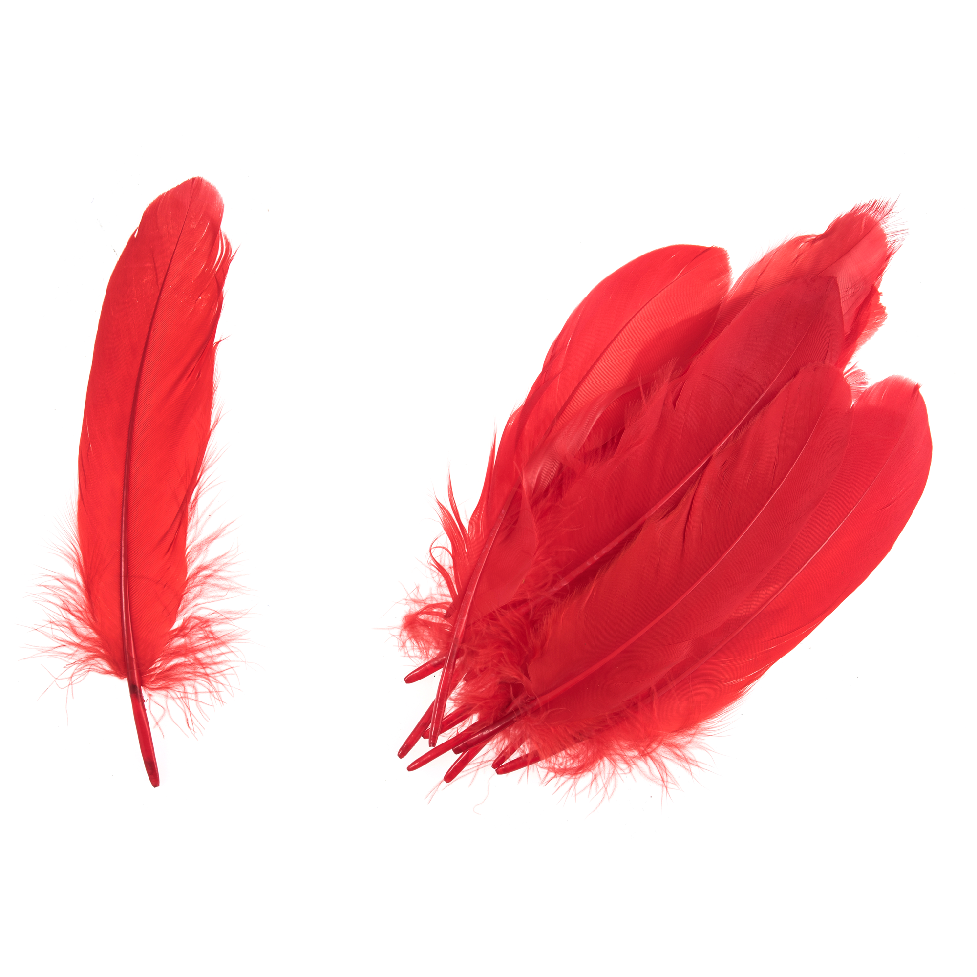 TD0021 - GOOSE FEATHERS APPROX 19CM RED