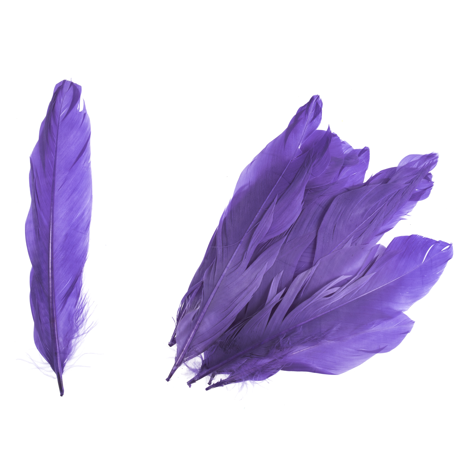 TD0023 - GOOSE FEATHERS APPROX 19CM PURPLE