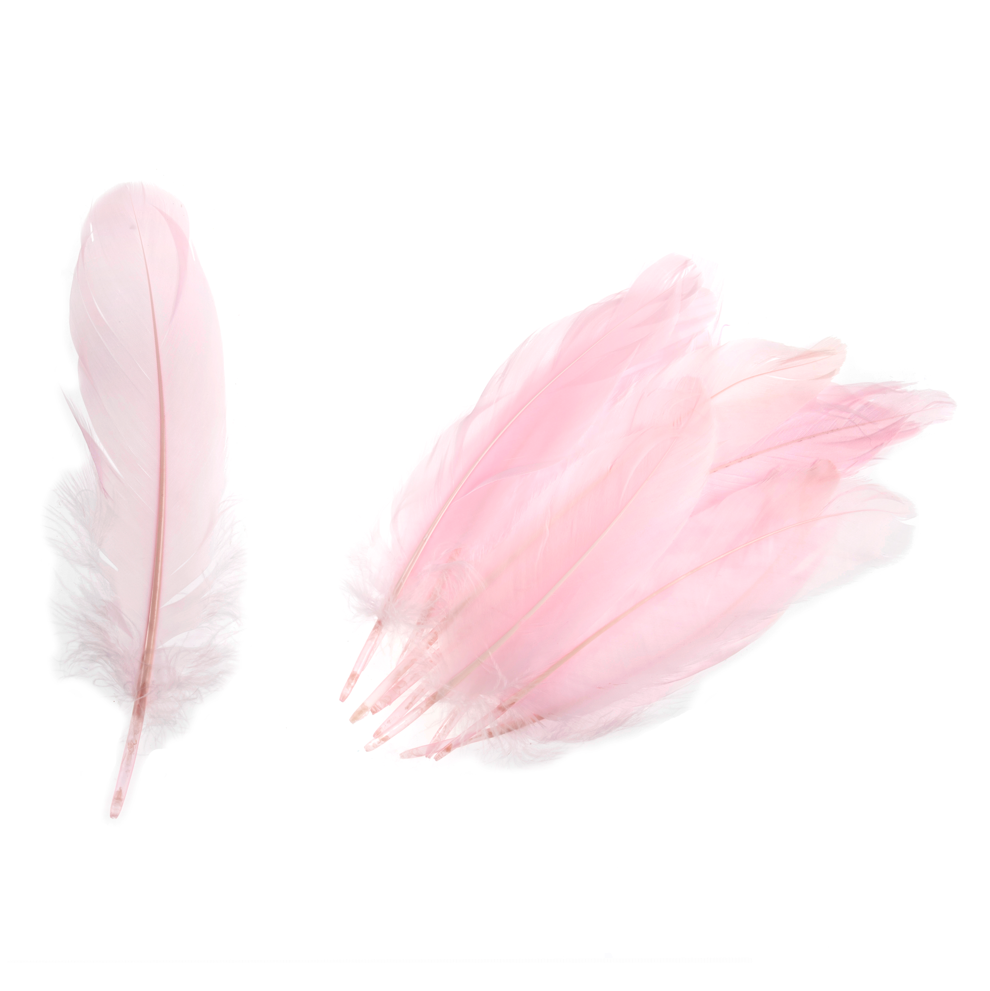 TD0024 - GOOSE FEATHERS APPROX 19CM PALE PINK