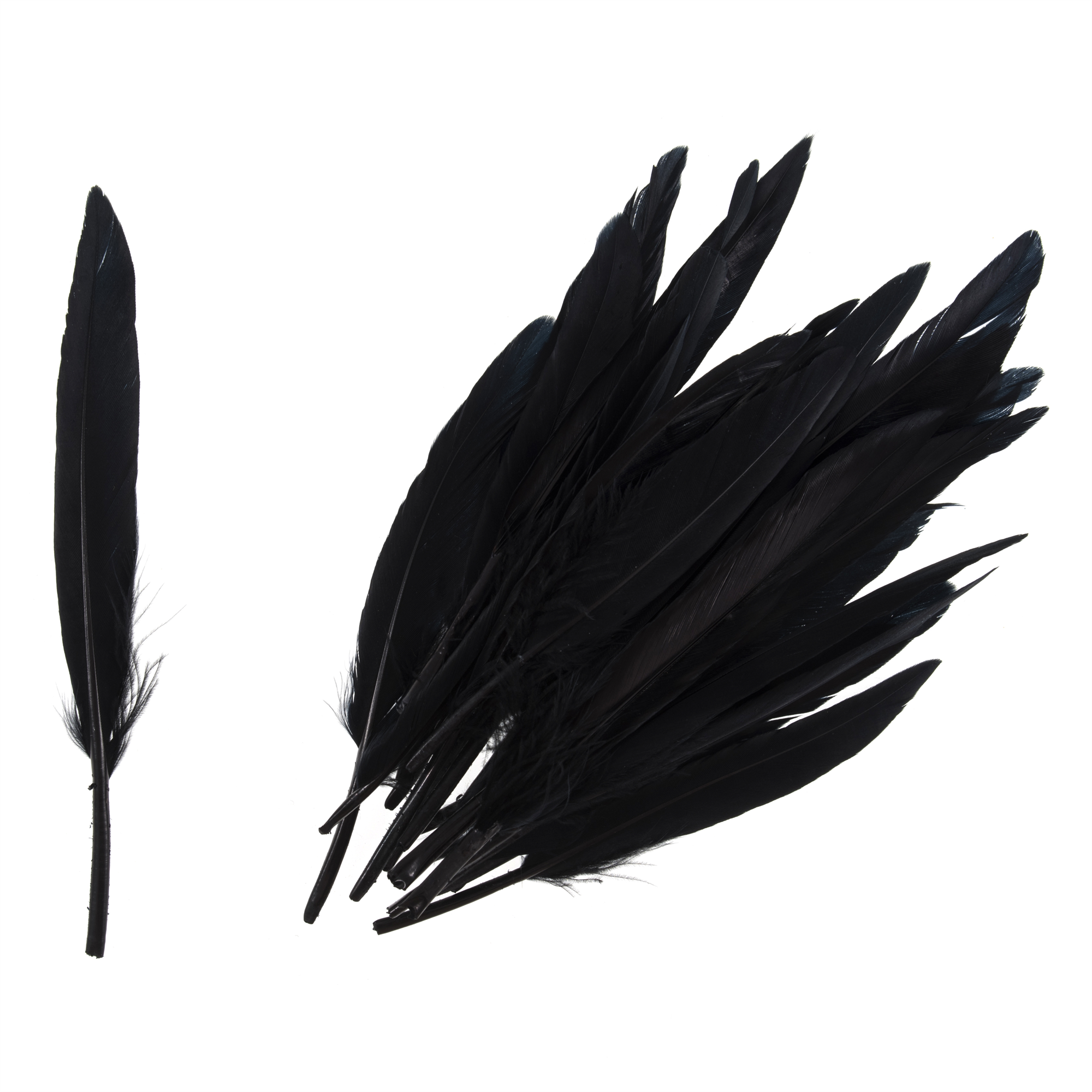 TD0026 - DUCK FEATHERS APPROX 10CM BLACK