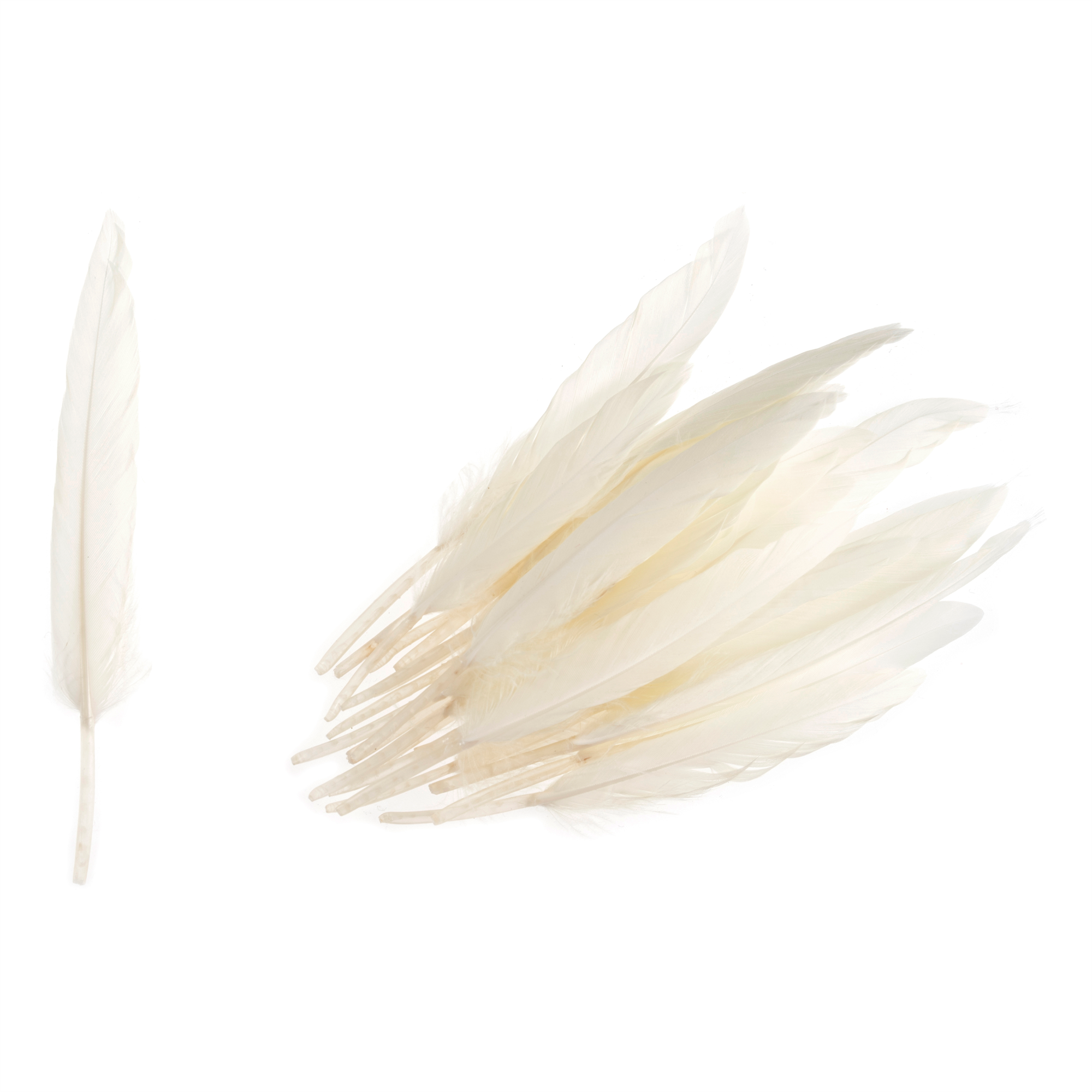 TD0027 - DUCK FEATHERS APPROX 10CM CREAM