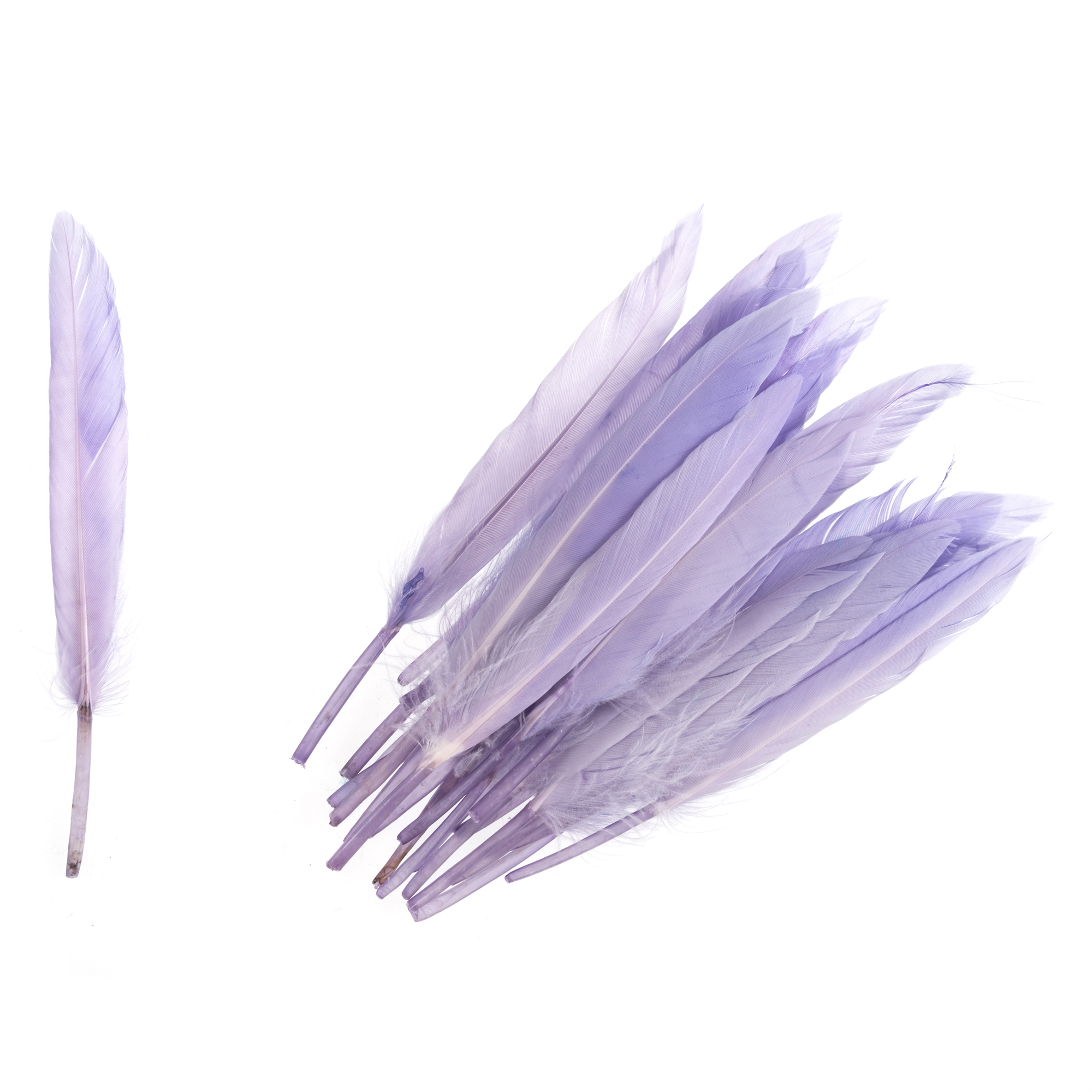 TD0029 - DUCK FEATHERS APPROX 10CM LILAC