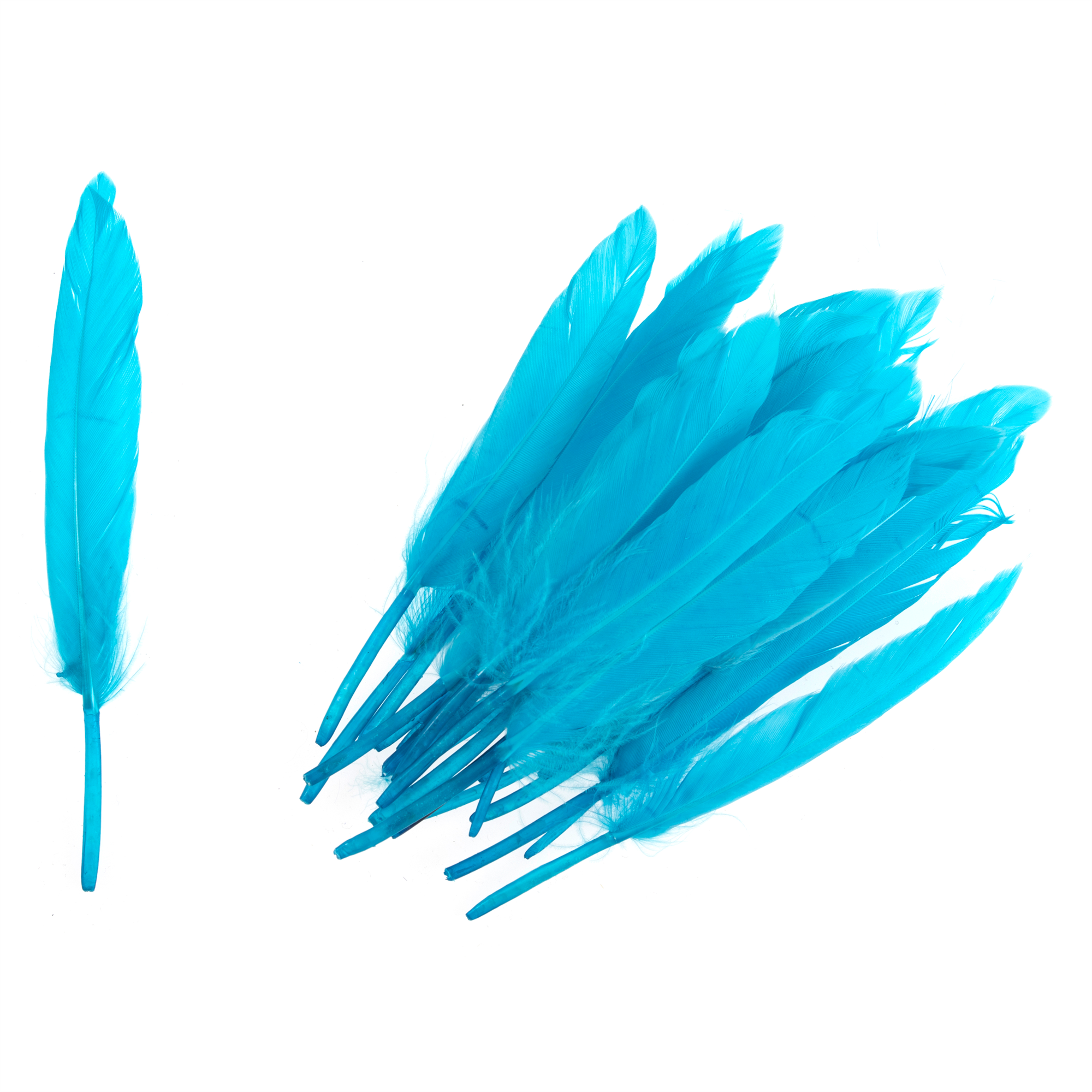 TD0031 - DUCK FEATHERS APPROX 10CM TURQUOISE