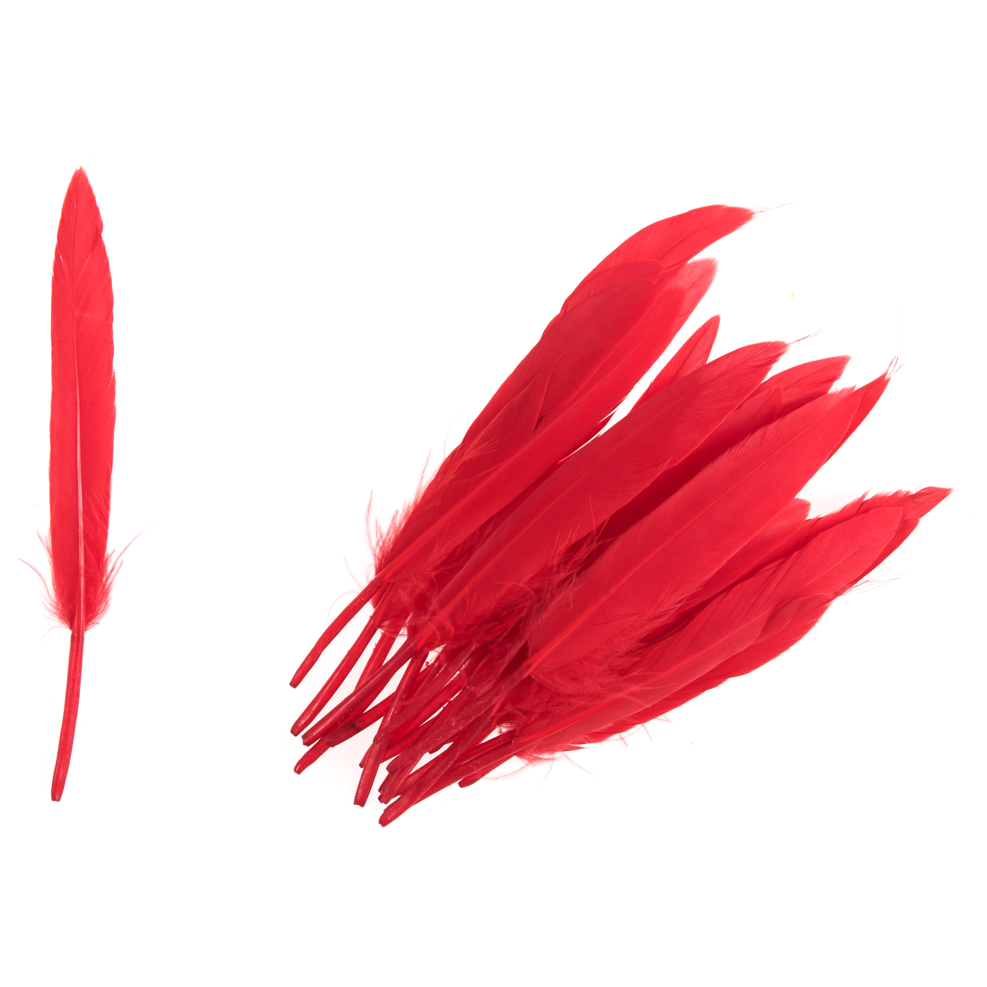 TD0033 - DUCK FEATHERS APPROX 10CM RED