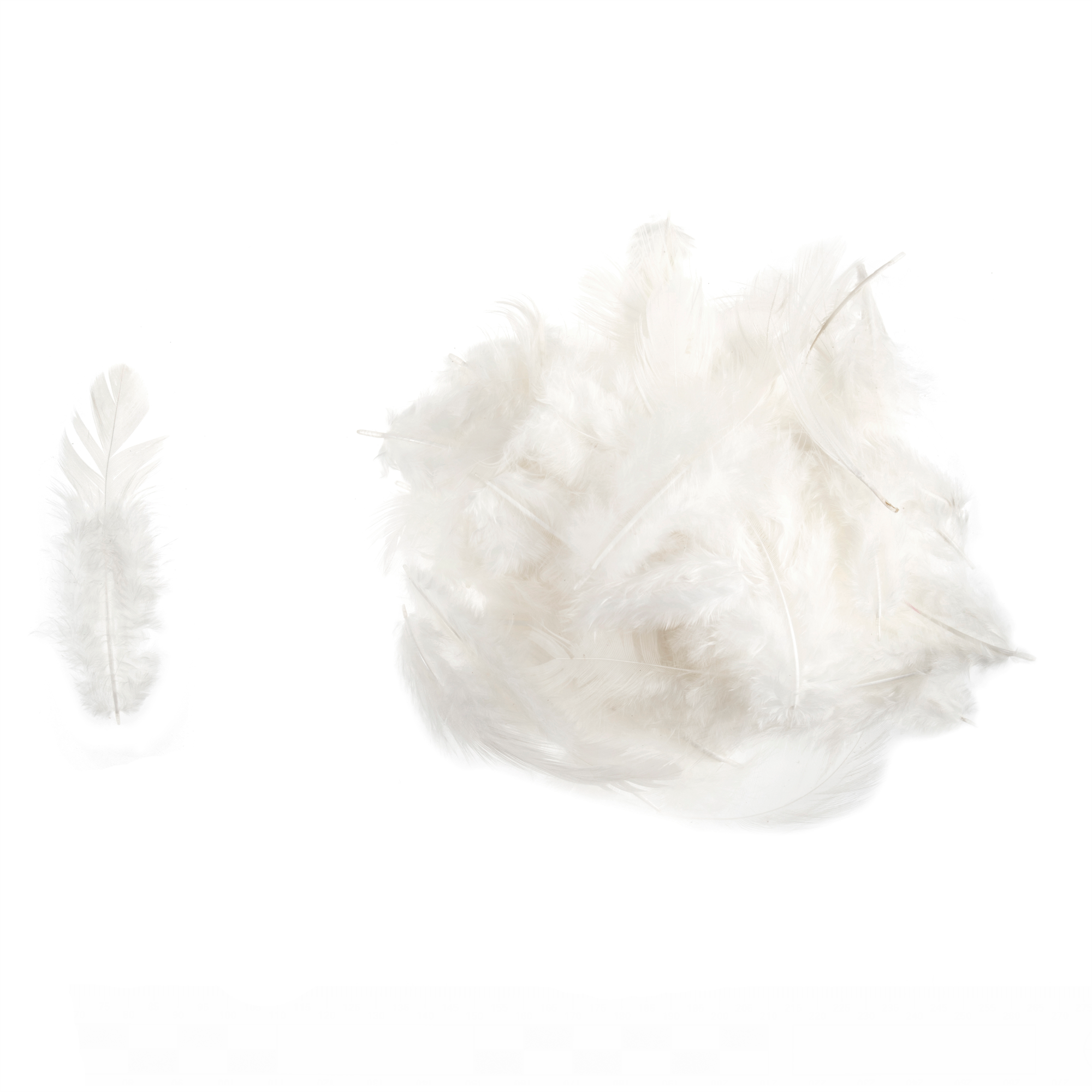 TD0050 - HEN FEATHERS ASSTD SIZE X 5GM WHITE
