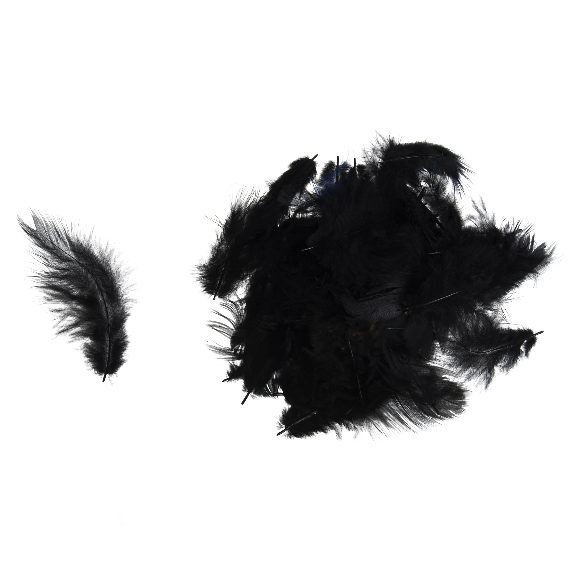 TD0051 - HEN FEATHERS ASSTD SIZE X 5GM BLACK