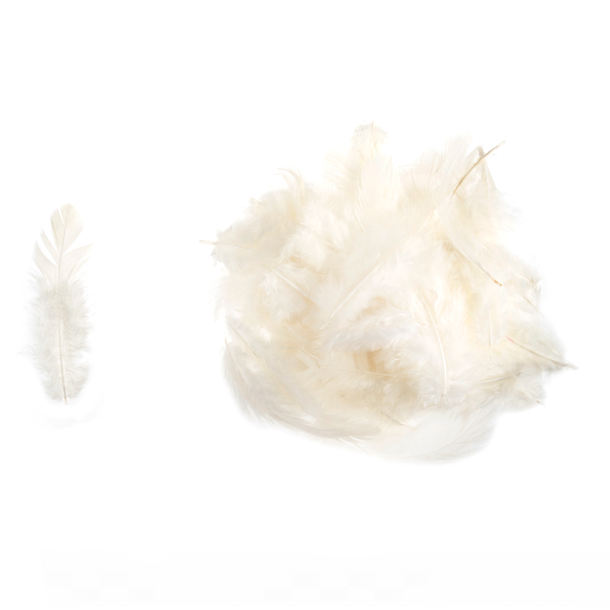 TD0052 - HEN FEATHERS ASSTD SIZE X 5GM CREAM