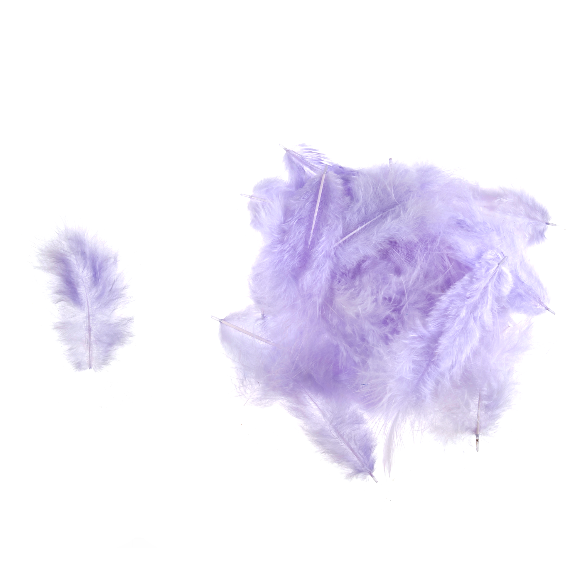TD0054 - HEN FEATHERS ASSTD SIZE X 5GM LILAC