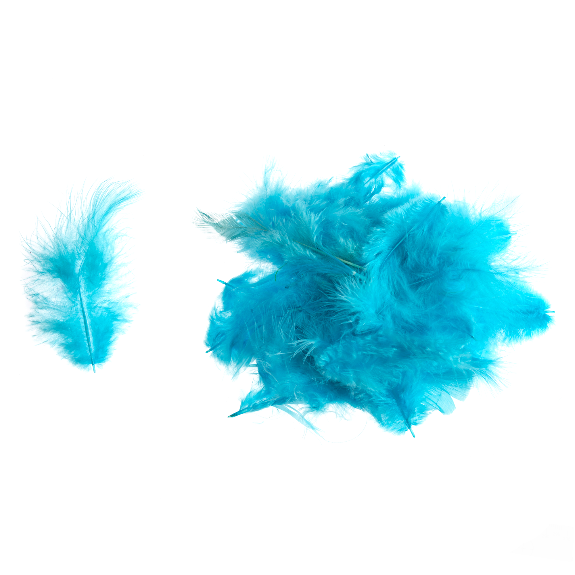 TD0056 - HEN FEATHERS ASSTD SIZE X 5GM TURQUOISE