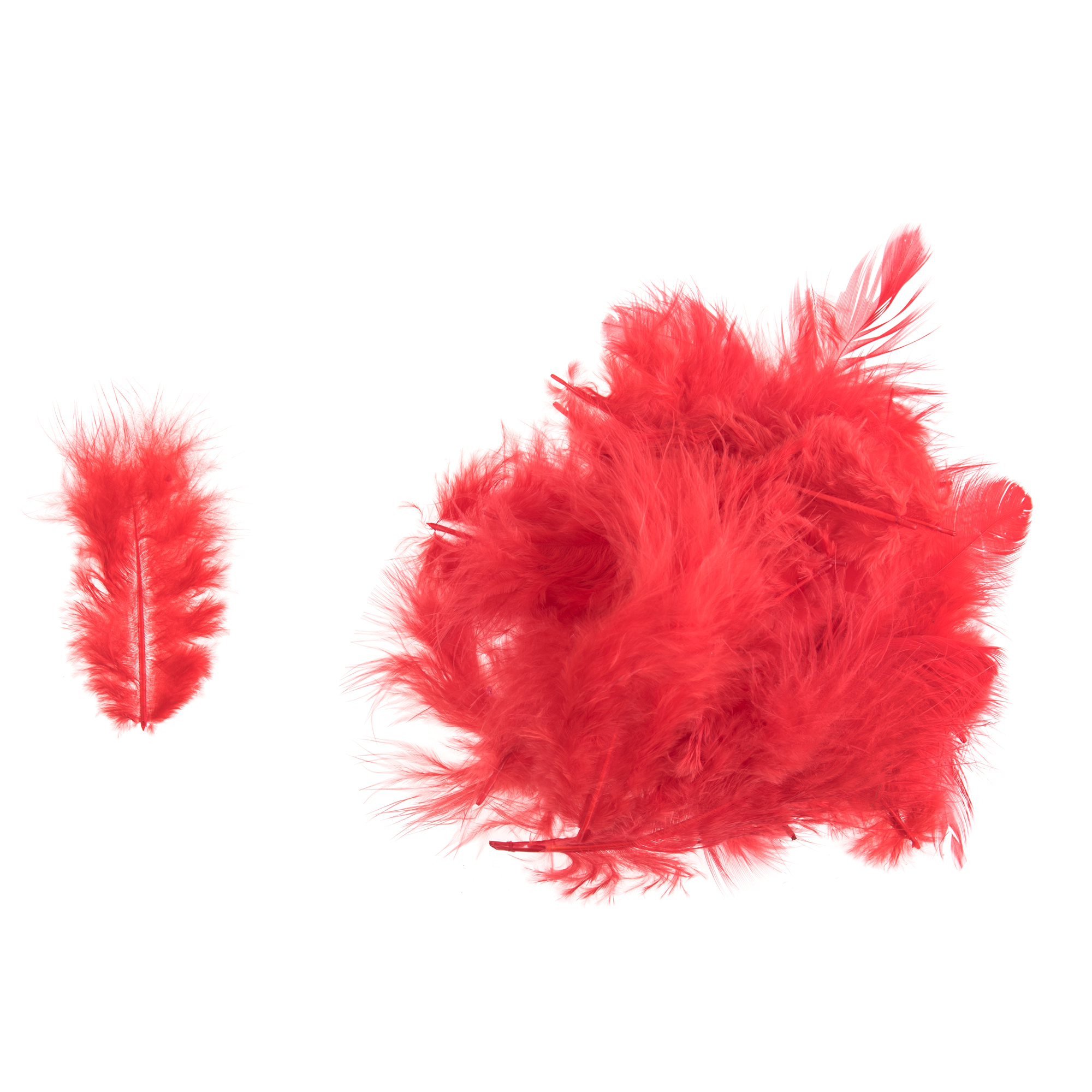 TD0058 - HEN FEATHERS ASSTD SIZE X 5GM RED