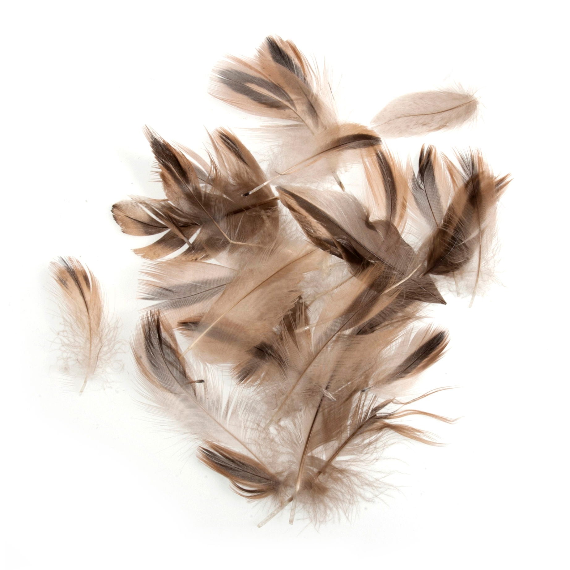TD0062 - HEN FEATHERS ASSTD SIZE X 5GM NATURAL