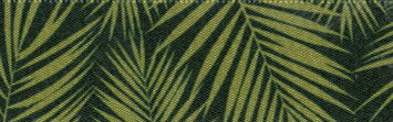 80828-25-1 BERISFORD PALM LEAF COL.1 MOSS DARK GREEN 25mm RIBBON